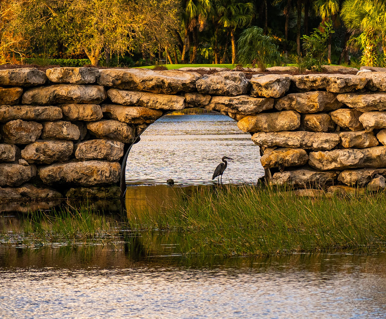 bird under bridge